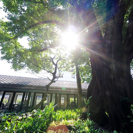 فندق ذا راوييكانلايا بانكوك المظهر الخارجي الصورة The greenhouse at the University of Washington Botanic Garden